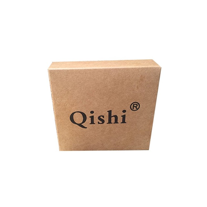 Qishi Stainless Steel Portable Laundry Hook Hanging Clips (10-Clips)