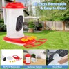Smart Hummingbird Feeder with 2K HD Camera Auto Capture/Notify &AI