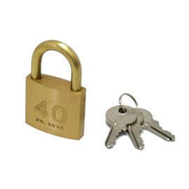 Cylinder Padlock Key Number Identical 1.6 in (40 mm) 2045D Quantity 17254
