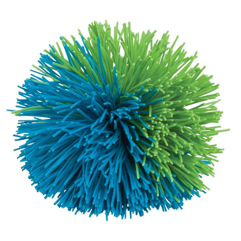 Toysmith Get Outside GO! Spring Ring, One Size (6147)