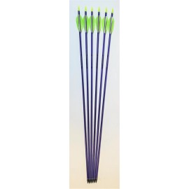 Easton NEW Feather Fletched Easton Jazz Aluminum Arrows 6-pack  - 1916 - 30"