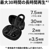  JVCKENWOOD HA-EC25T HA-EC25T HA-EC25T Fully Wireless Earphones, Body Weight