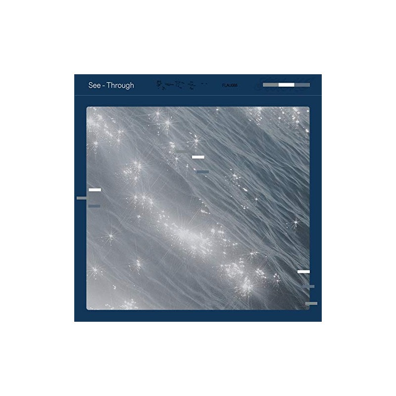 See-through [FLAU88]