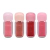 Clio Volume Mate Gloss Tint 3g / 클리오 볼륨메이트 글로스