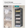 SONGMICS Hanging Closet Organizer, Hanging Storage Shelves, Hanging Closet Shelves,