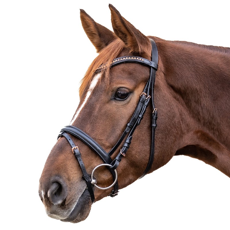 WALDHAUSEN Star Rosemary WB Snaffle Bridle Black