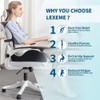 X Large Memory Foam Seat Cushion Lumbar Support Pillow for