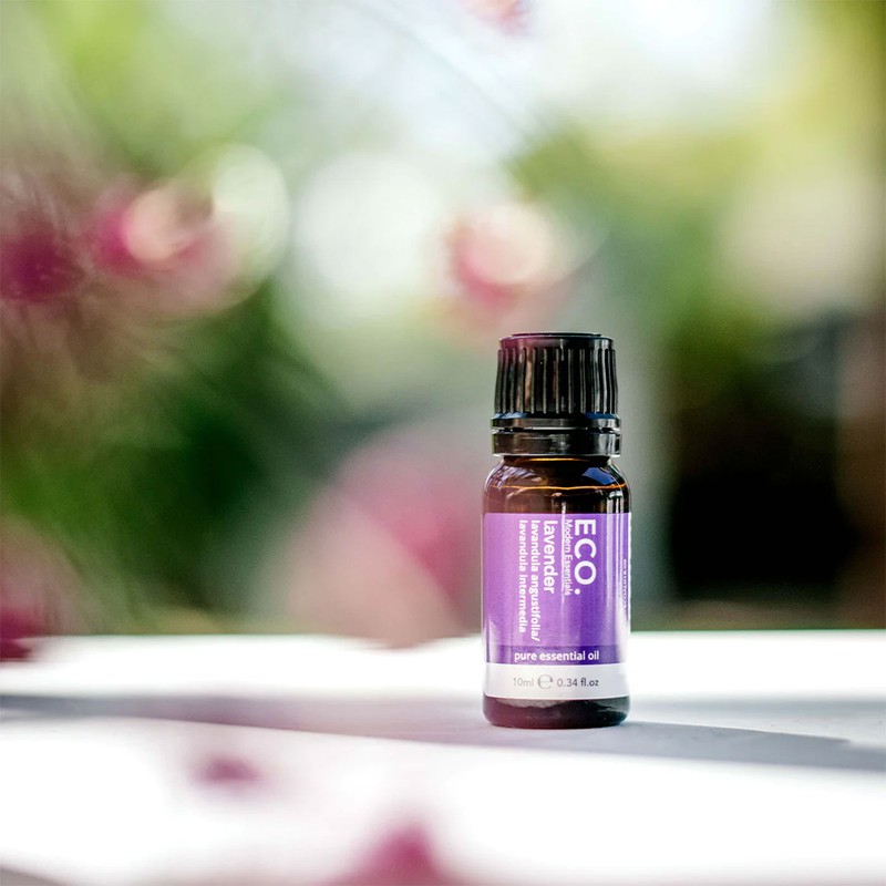 ECO. Modern Essentials Lavender Pure Essential Oil, 10ml