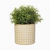 Sass & Belle Rattan Weave Concrete Planter