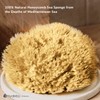 Hydrea London Natural Sea Sponge 4 - 4.5"- Premium Mediterranean