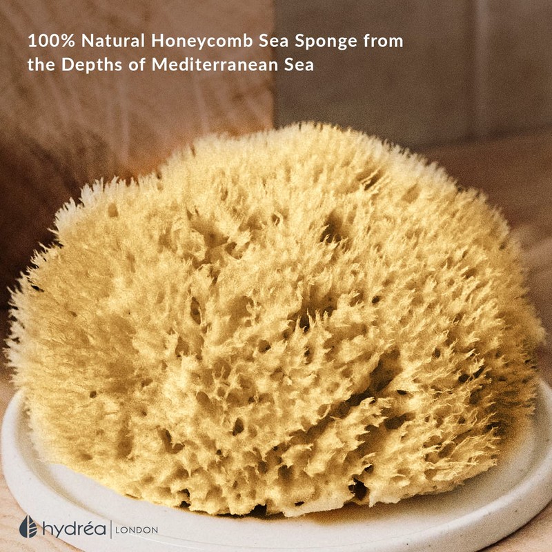 Hydrea London Natural Sea Sponge 4 - 4.5"- Premium Mediterranean