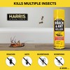 Harris 10-Month Roach & Ant Killer, Odorless & Non-Staining Aerosol