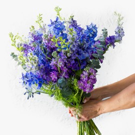 BloomsyBox Farm-Fresh Blue Botanica Bouquet, 35 Stems, Blue and Purple Design, Care Card, Flower Food, Lush Greenery, Flower Delivery, Birthday Flowers, Anniversary Flowers, Wedding Flowers