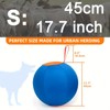 Polyester Dog Herding Ball Toy - 1pc Durable with Pump
