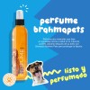 Kit Mascota Siempre Limpia Brahma Pets (3 Pack)