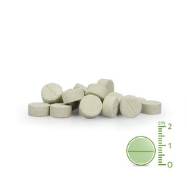 AniForte Plus Fell & Haut für Hunde 90 Tabletten - bei Dermatose & Haarausfall Hund, mit MSM & Biotin zur Unterstützung der Hautfunktion, Präbiotika bei Fellproblemen & Erkrankung der Haut