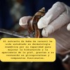 30ML Extracto de Baba de Caracol (Snail Secretion Filtrate) Activo