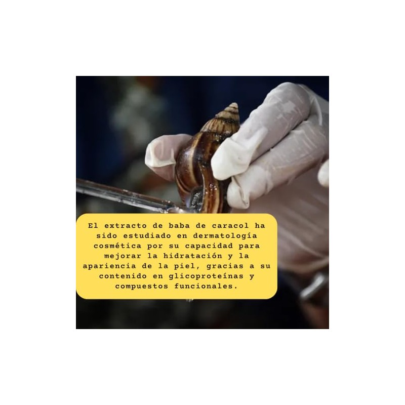 30ML Extracto de Baba de Caracol (Snail Secretion Filtrate) Activo