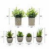 6 Pack Fake Plants Succulents Eucalyptus Small Cement Pots Indoor
