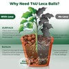 T4U Leca Clay Pebbles for Plants, 2.3qt 10-20 mm Clay