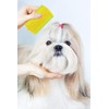 Pets First Large Rubber Pet Curry Comb For Smooth Shiny