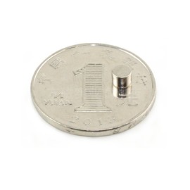 D4mmX2mm-200pcs Magnets,Neodymium Magnets Refrigerator Magnets,Ideal for Refrigerator,Office,Science and Technology Small Disc Magnets