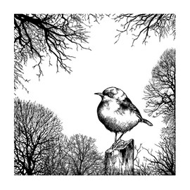 Crafty Individuals unmounted rubber stamp - Dawn Serenity - CI-553