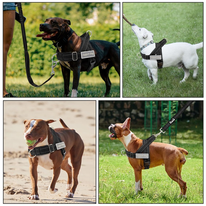 AUTOWT No Pull Dog Harness for Medium Large Dog, Tactical