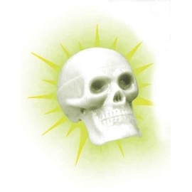 Beadbrain Skull Glow in The Dark Rhythm Shaker