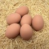 Eggcetera Ceramic Nest Eggs 6-Pack (Brown)