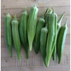 Fresh Clemson Spineless Okra Seeds | NON-GMO | Heirloom |