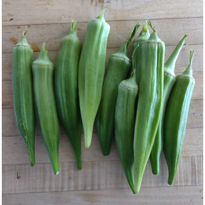 Fresh Clemson Spineless Okra Seeds | NON-GMO | Heirloom |