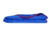 PROTEX Extra Large Super Absorbent 550gsm Microfiber Soft Thick Plush