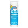 In The Swim A+ Pool Stain Remover for Swimming Pools