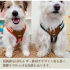 Paipeper Dog Harness, Small Dog Harness, Medium Size Dog Harness,