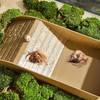 QINGYIWL Water Pool for Turtles with Climbing Ramp, Turtle Accessories