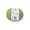 Troyarn Wool 125 (2- Skeins Pack) 100% Superwash Merino Fine