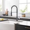 GIMILI Black Stainless Kitchen Faucet with Pull Down Sprayer Single