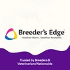Breeder’s Edge B Strong Powder, B-Complex Vitamin Supplement for Dogs