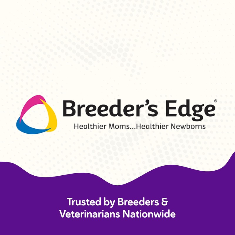 Breeder’s Edge B Strong Powder, B-Complex Vitamin Supplement for Dogs