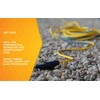 Coleman Cable 02439 14/3 Push-Lock SJTW Locking Extension Cord, Yellow/Blue,