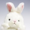Takenoko 85214 Forest Nakama Mini Rabbit White Plush Toy