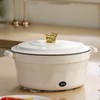 Electric Pot Multifunctional Dormitory Student Cooking Pot Electric Cooker Standard