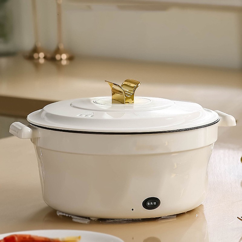 Electric Pot Multifunctional Dormitory Student Cooking Pot Electric Cooker Standard