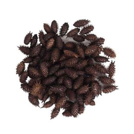 신선약초 국산 볶은 도꼬마리 200g 차재료 Fresh Herb Domestic Roasted Dokkoma-ri 200g Tea Ingredient