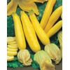 Mr Fothergills Mr Fothergill's 17627 Vegetable Seeds, COURGETTES & Summer