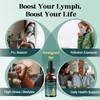 Lymphatic Drainage Drops, 25-in-1 Botanical Complex with Dandelion, Burdock Root,