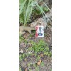 Magic Stick TV Magnetic MS-45MAX Multi-Directio
