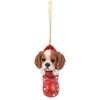 Vivid Arts- Hanging Christmas Stocking Pet Pals- King Charles