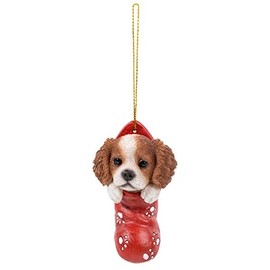 Vivid Arts- Hanging Christmas Stocking Pet Pals- King Charles